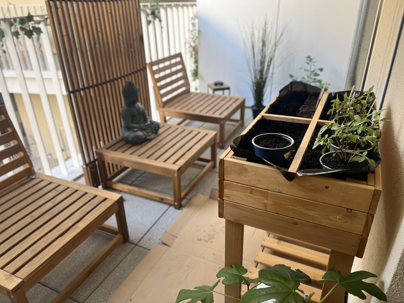 Mein kleiner Chili Garten | Teil 1