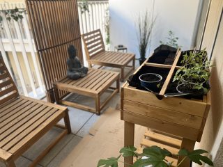 Mein kleiner Chili Garten | Teil 1